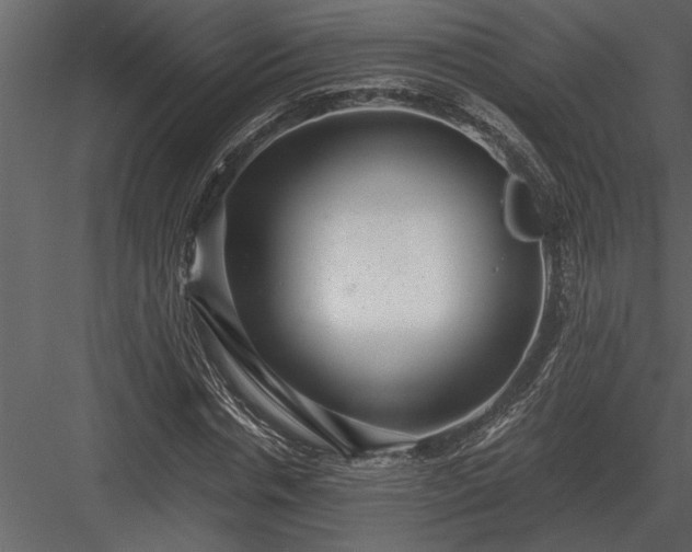 X0000084010826200702232202