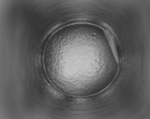 X0000084010827200702232202