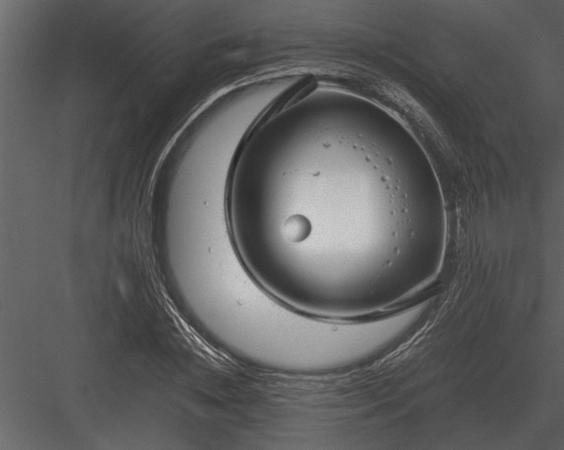 X0000084010828200702232202