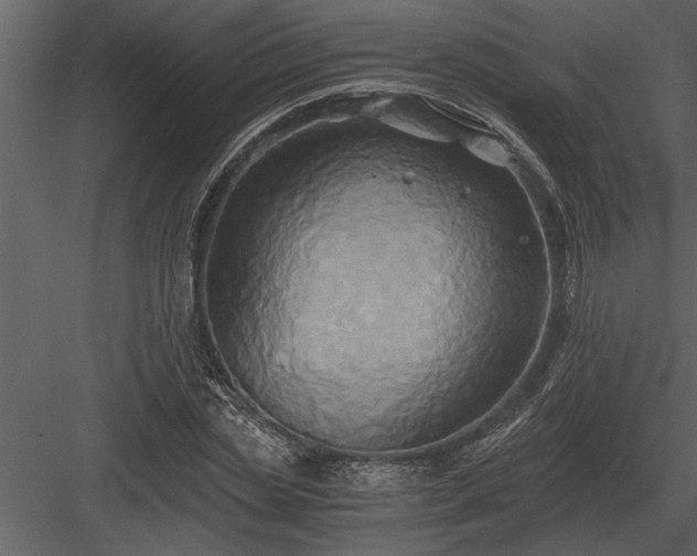 X0000084010829200702232202