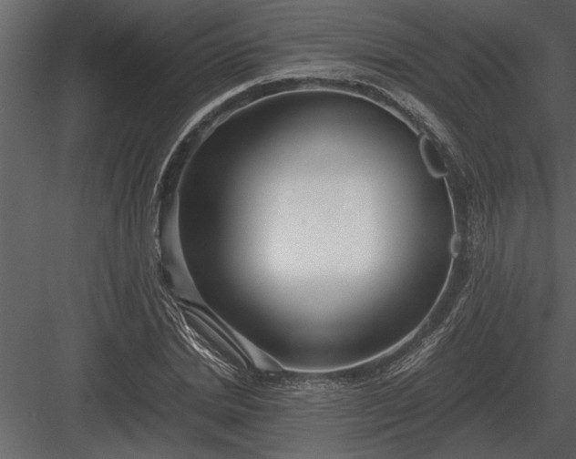 X0000084010830200702232202