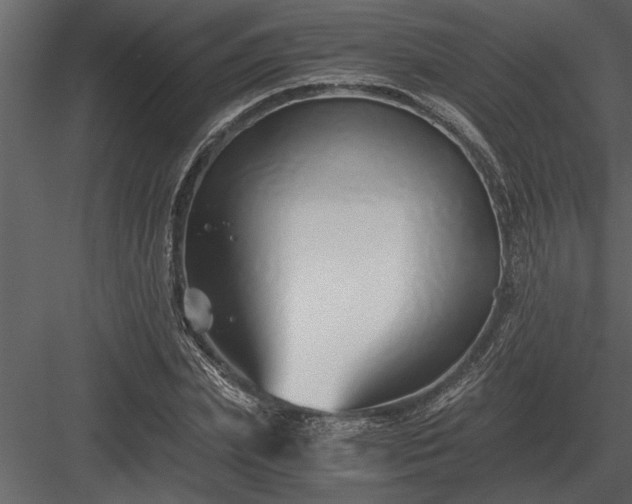 X0000084010831200702232202