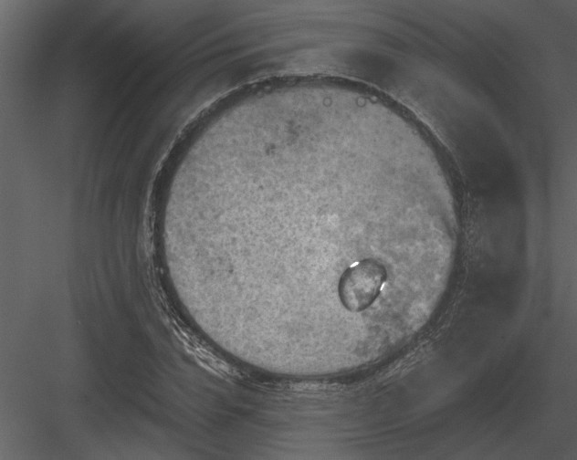 X0000084010832200702232202