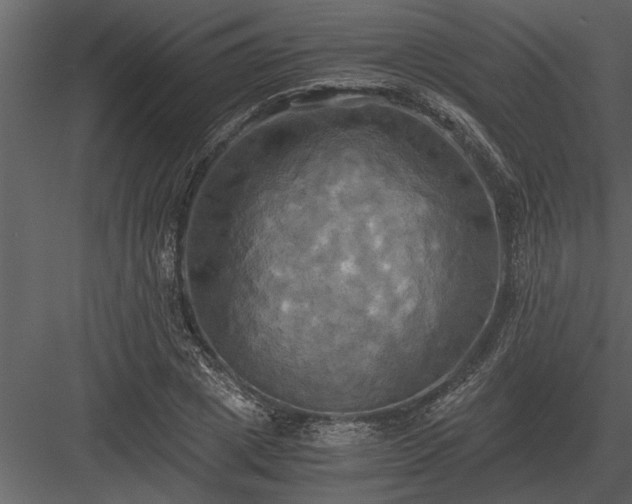 X0000084010833200702232202