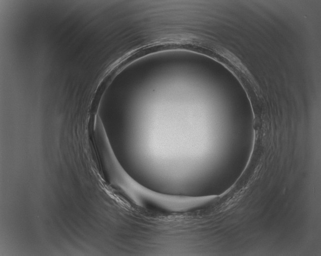 X0000084010834200702232202