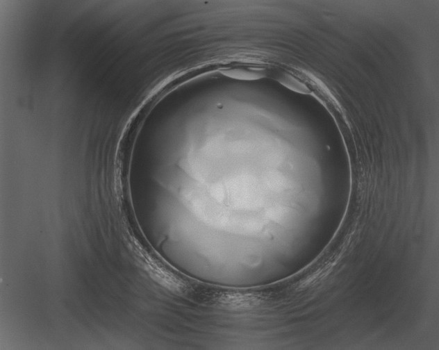 X0000084010835200702232202