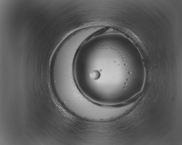 X0000084010836200702232202