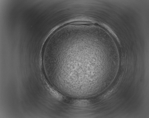 X0000084010837200702232202