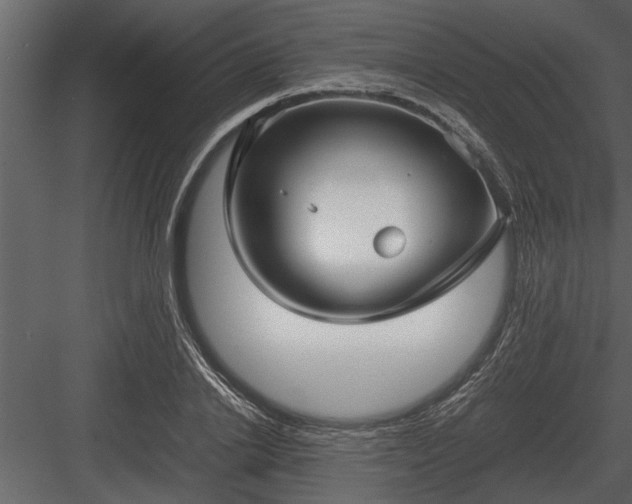 X0000084010838200702232202