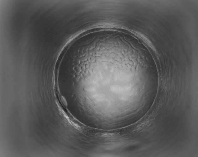 X0000084010839200702232202