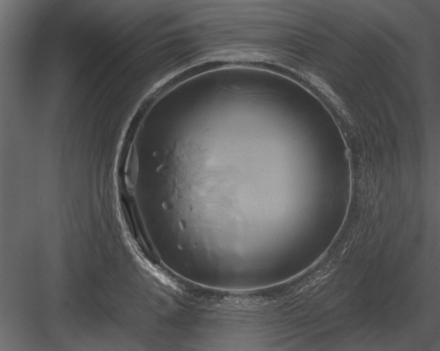 X0000084010840200702232202