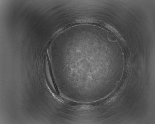 X0000084010841200702232202