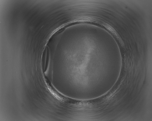 X0000084010842200702232202