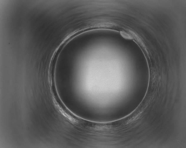 X0000084010843200702232202