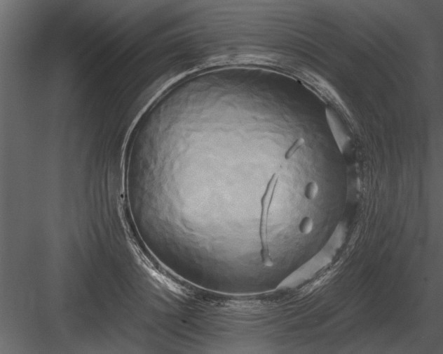 X0000084010844200702232202