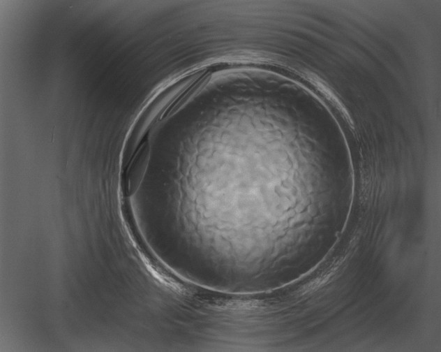 X0000084010845200702232202