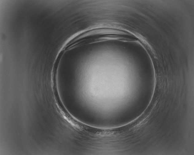 X0000084010846200702232202