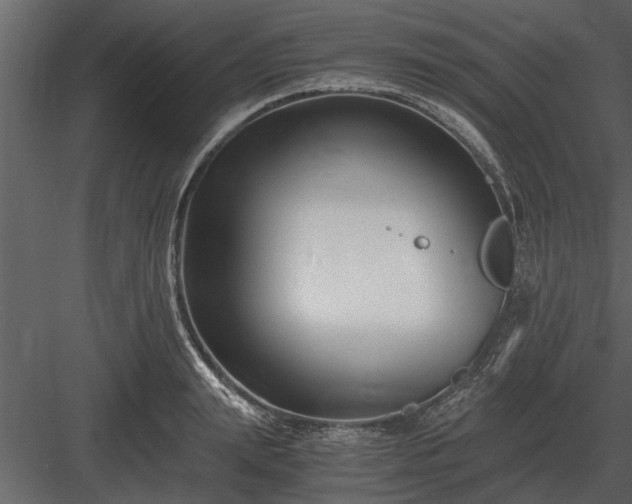 X0000084010847200702232202