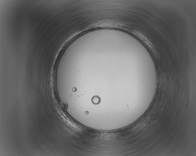 X0000084010848200702232202