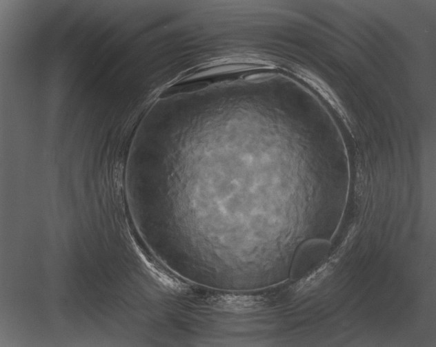 X0000084010849200702232202