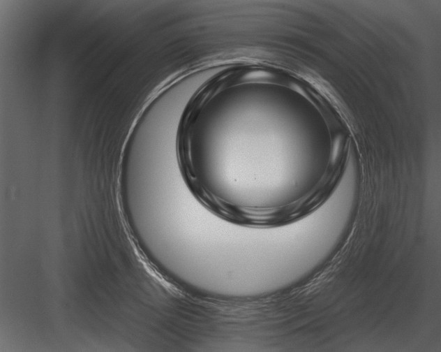 X0000084010850200702232202