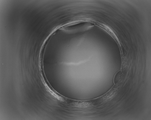 X0000084010851200702232202