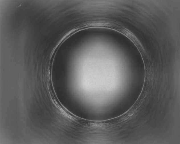 X0000084010852200702232202