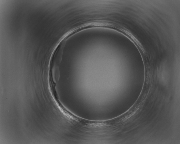 X0000084010853200702232202