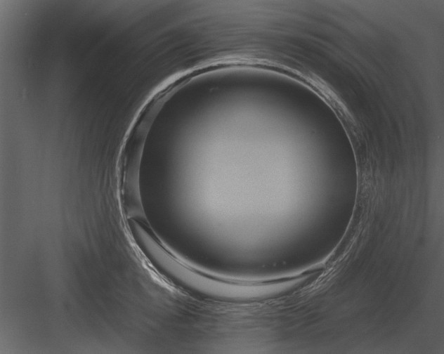 X0000084010854200702232202