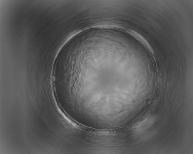 X0000084010855200702232202