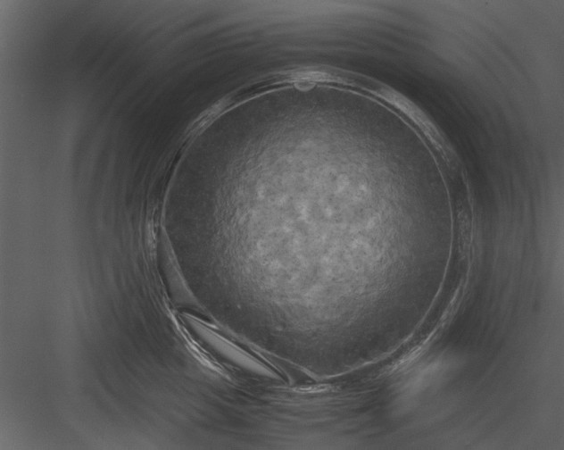 X0000084010857200702232203