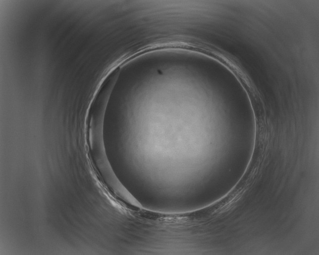 X0000084010858200702232203