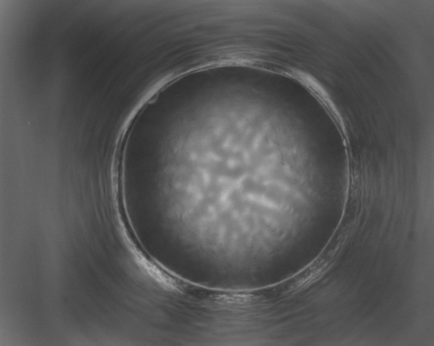 X0000084010859200702232203