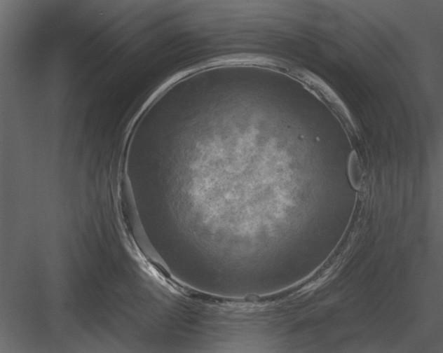 X0000084010860200702232203