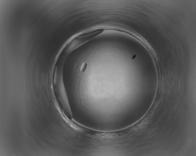 X0000084010862200702232203