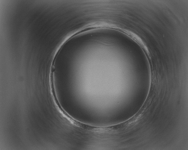 X0000084010863200702232203