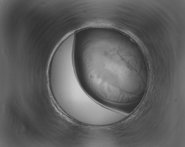 X0000084010864200702232203