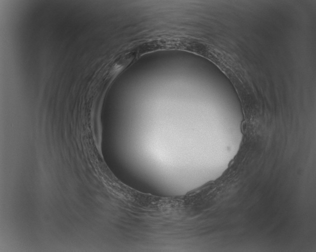 X0000084010865200702232202