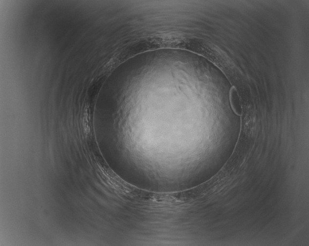 X0000084010866200702232202