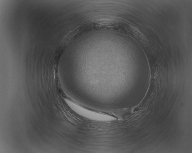 X0000084010868200702232202