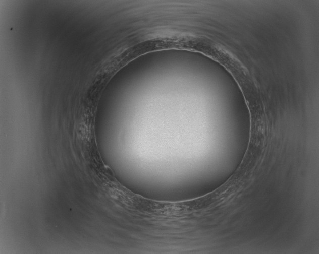 X0000084010869200702232202