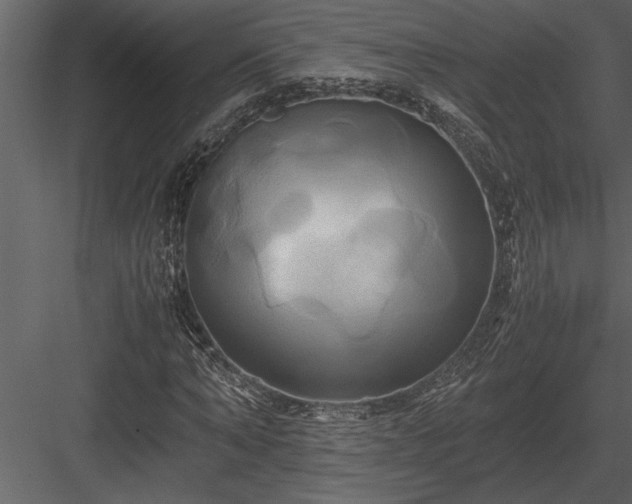 X0000084010870200702232202