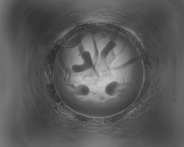 X0000084010871200702232201