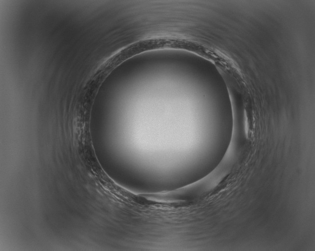 X0000084010872200702232201