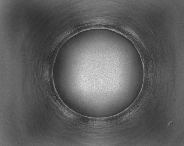 X0000084010873200702232201