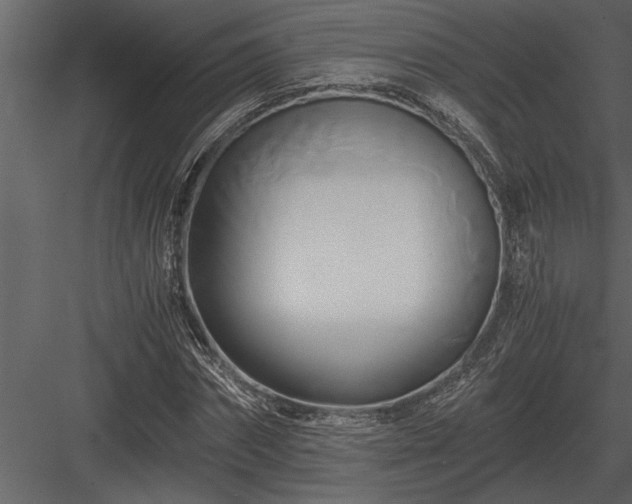 X0000084010874200702232201