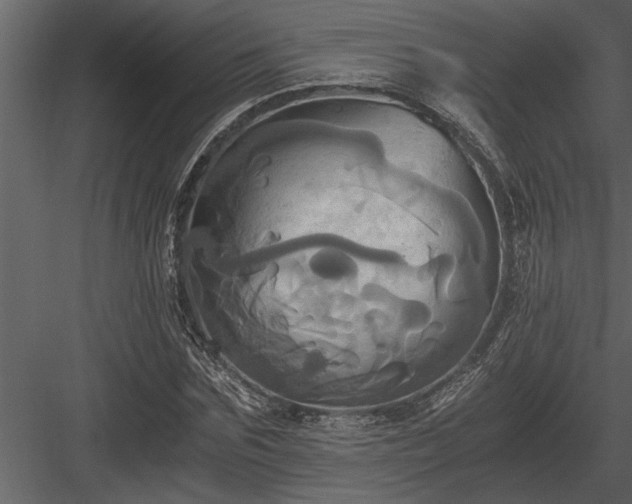 X0000084010875200702232201