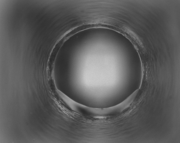 X0000084010876200702232201