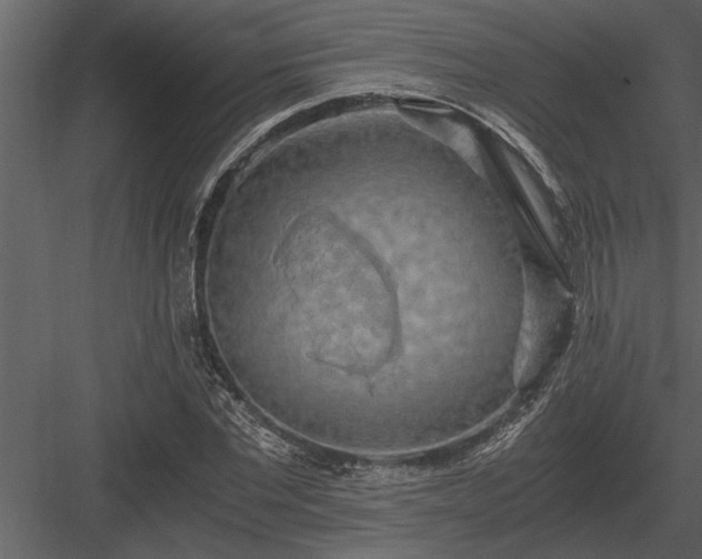 X0000084010877200702232201