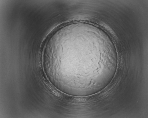 X0000084010878200702232201